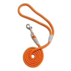 Laisse Roma Orange