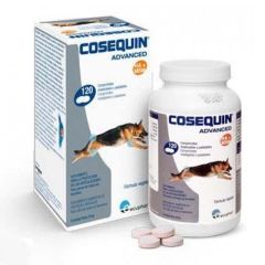 Chondroprotecteur Cosequin Advanced