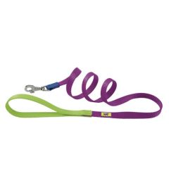 Lece Chien Ferplast Club Violet