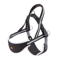 Harnais Chien Ergocomfort Nordic