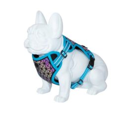 Harnais Dog Freedog Boreal Blue Capri