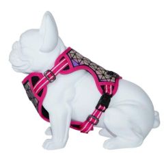 Harnais Dog Freedog Boreal Fucsia