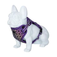 Harnais Dog Freedog Boreal Purple