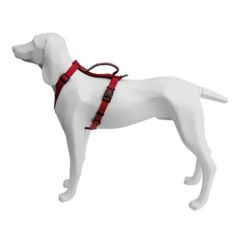 Harnais Dog Freedog Extreme Red