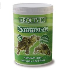 Arquivet Gammarus tortugas (Expédition 3 - 5 jours)
