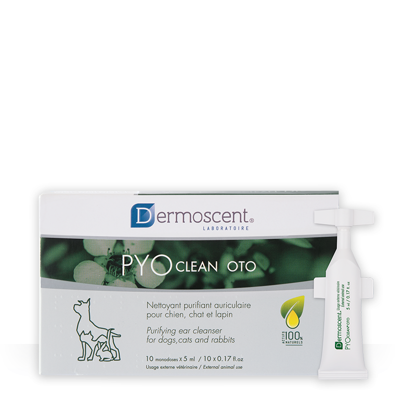 Nettoyant Ótico Dermoscent Pyoclean Oto pour chien et chats (10 x 5 ml)