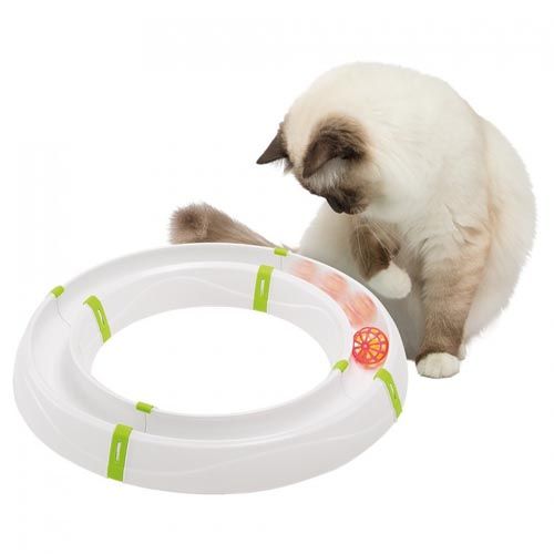 Circuit Magic Circle Cat