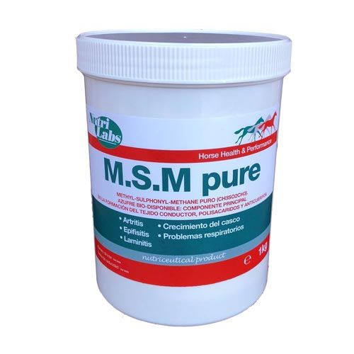 MSM 100% Pure chevaux 1 Kg