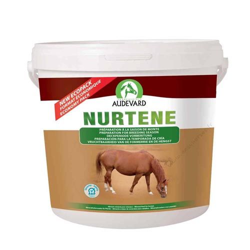 Nurtene Chevaux