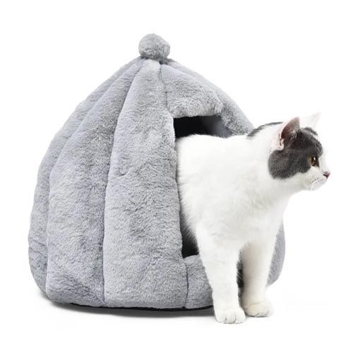 Iglu Freedog Stockhorn