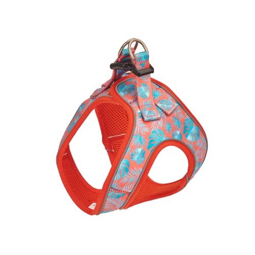Harnais Dog Freedog Tropical Coral