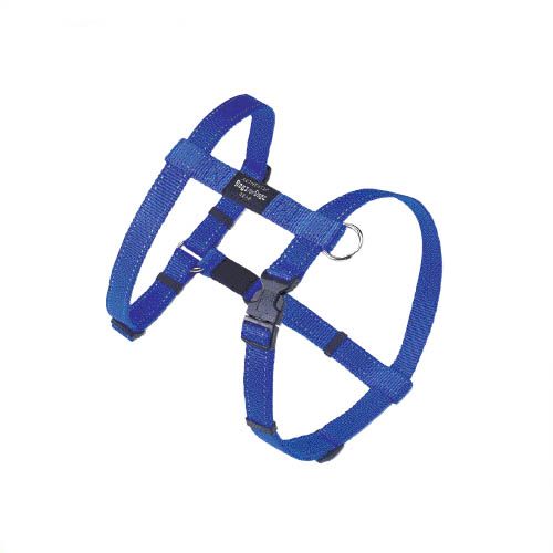 Harnais pour chien Rogz Fan Belt (L - Largeur 20 mm.)