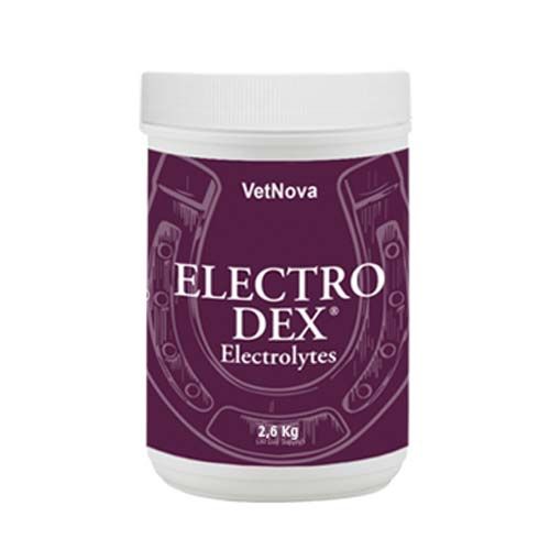 Chevaux Electro Dex