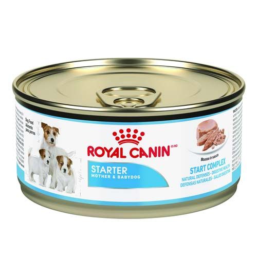 Royal Canin Dog Starter Mother & Babydog (Boîtes) 195 gr x 12