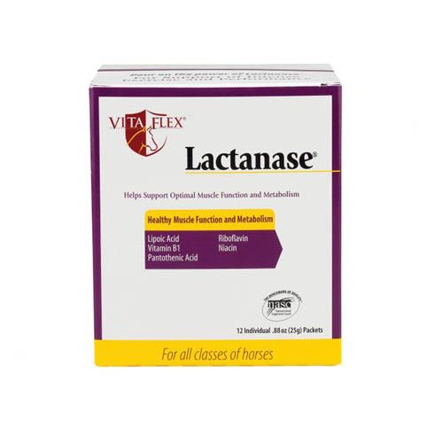 Lactanase Chevaux (25 gr.)