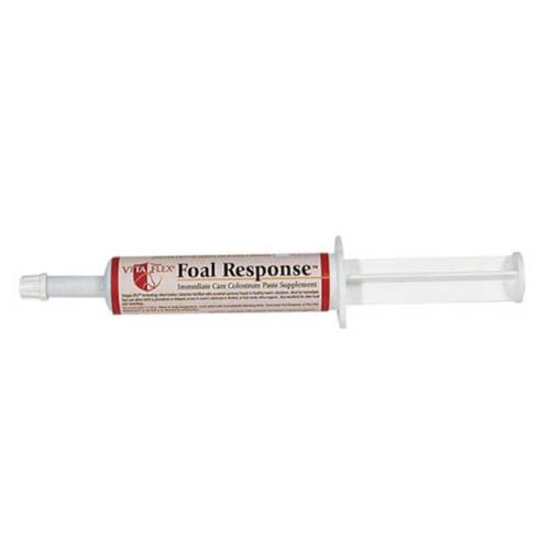 Chevaux de réponse poulain (30 ml.)