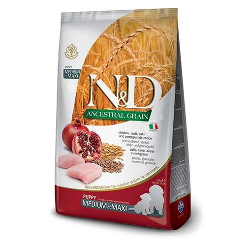 Farmina N&D Ancestral Grain Puppy Medium - Maxi Poulet Chien